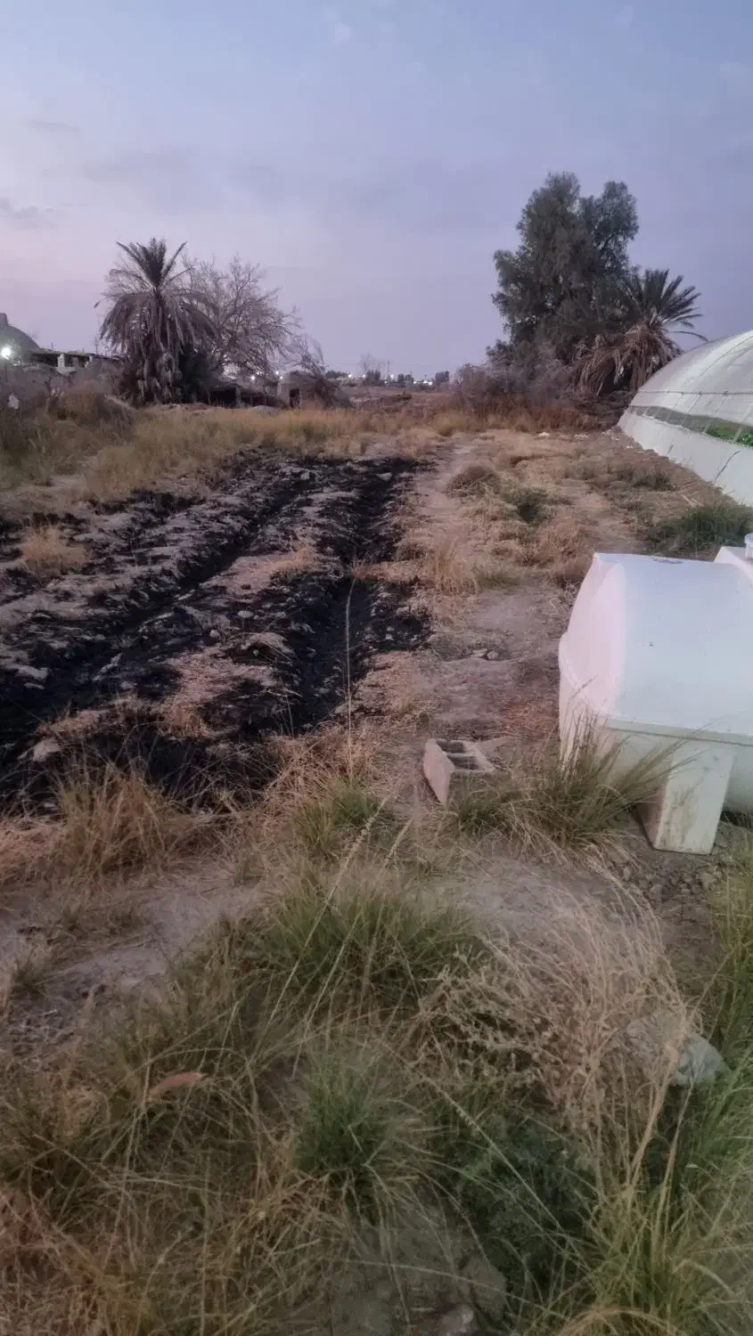 فروش گلخانه|خدمات باغبانی و درختکاری|زهک, |دیوار