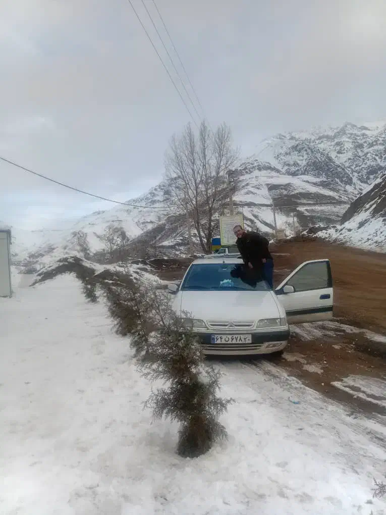 حمل و نقل به سراسر کشور|خدمات حمل و نقل|تهران, قیطریه|دیوار