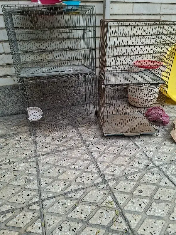 قفس قناری در شهرری|لوازم جانبی حیوانات|ری, شهرک نظامی|دیوار