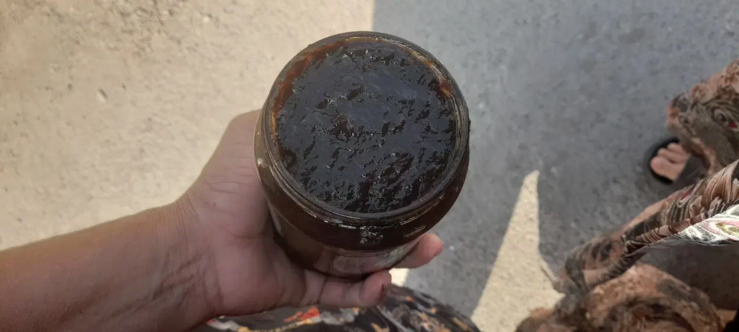 ترشی آلوچه|خوردنی و آشامیدنی|رشت, انصاری|دیوار