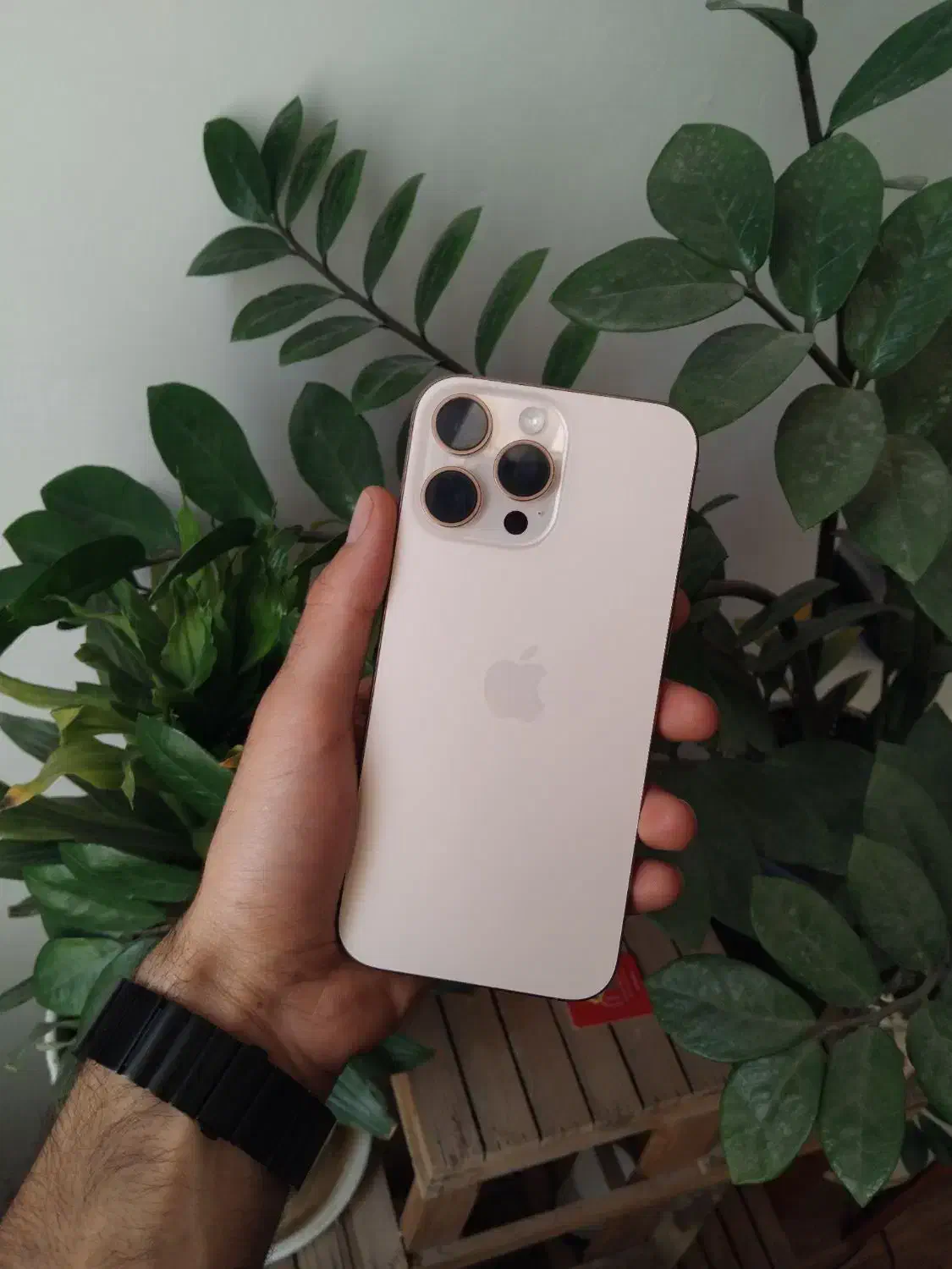 ایفون۱۶پرومکس پک اصلی|موبایل|مشهد, کوثر|دیوار