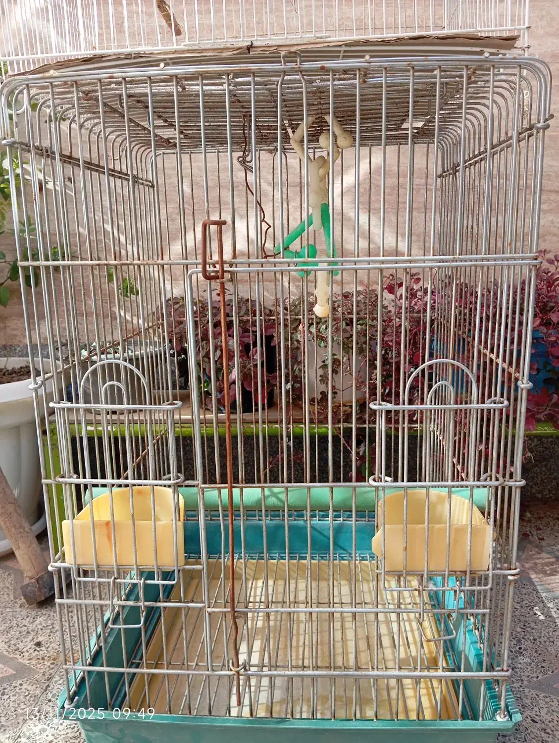 قفس|لوازم جانبی حیوانات|شیراز, کوزه گری|دیوار