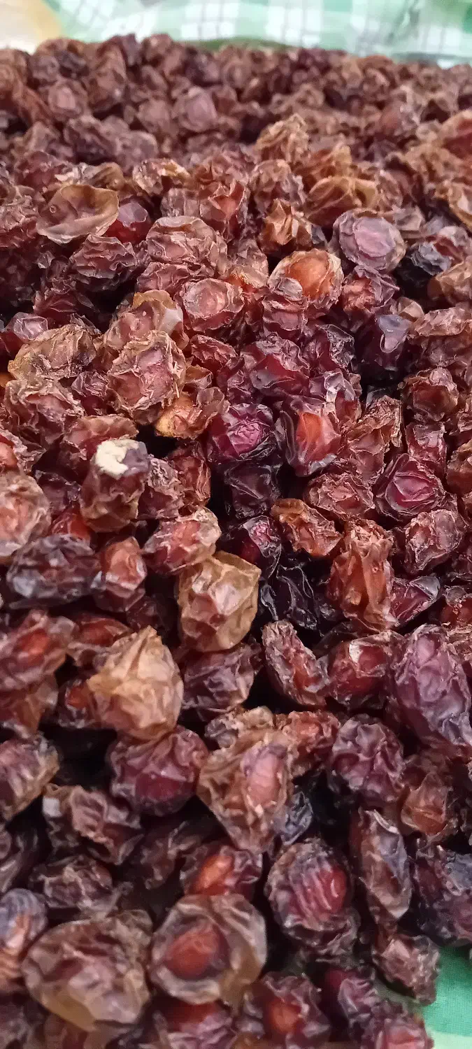 آلبالو خشک|خوردنی و آشامیدنی|قم, شهرک مهدیه|دیوار