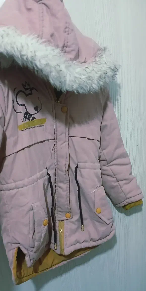 کاپشن دخترونه و کفش فوتسال|کیف، کفش، کمربند|ملایر, |دیوار