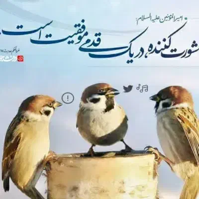 مشورت|فعالیت داوطلبانه تحقیقاتی|تهران, شهرک فرهنگیان|دیوار