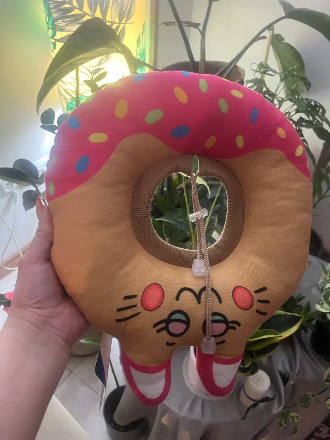 پت شاپ|لوازم جانبی حیوانات|رشت, گلسار|دیوار