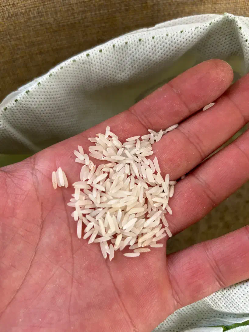 برنج پاکستانی ۳۸۶|خوردنی و آشامیدنی|بهارستان, |دیوار