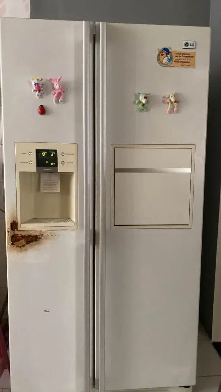 اجرای پوسیدگی وتحغیررنگ|خدمات پیشه و مهارت|پیربازار, |دیوار