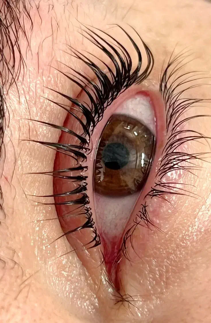 مدل لیفت و لمینیت ابرو و مژه|خدمات آرایشگری و زیبایی|رشت, حاجی آباد|دیوار