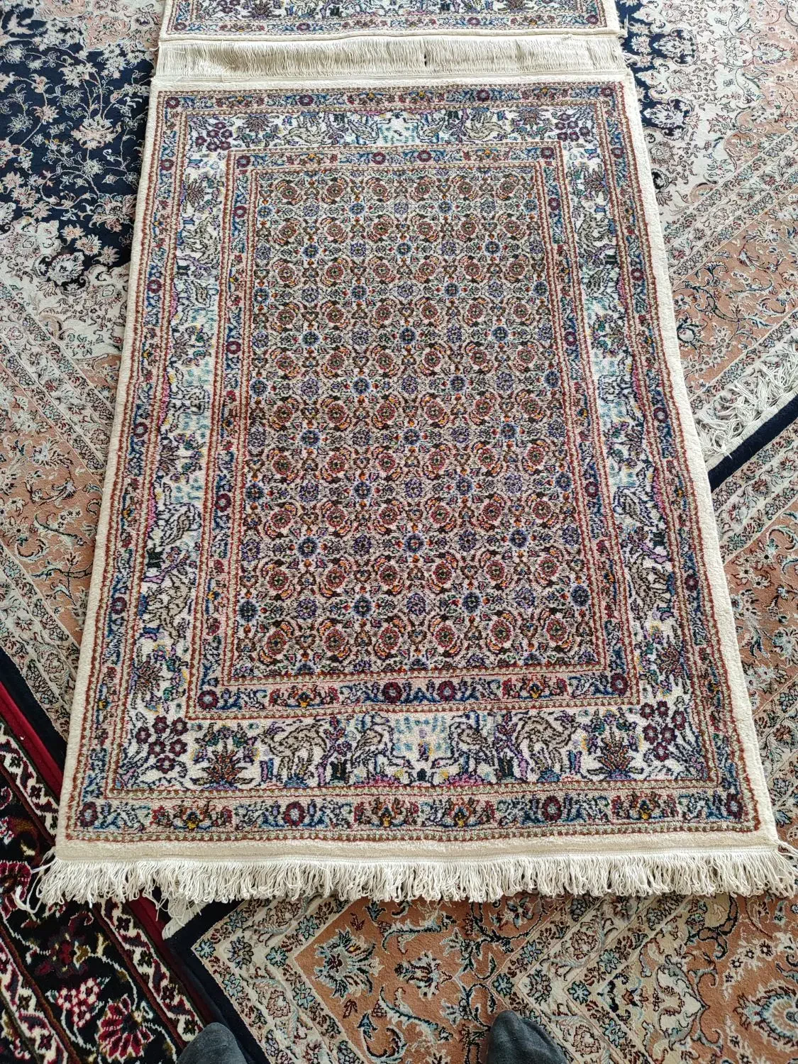 فرش دستباف نو|فرش|ورامین, خیر آباد|دیوار