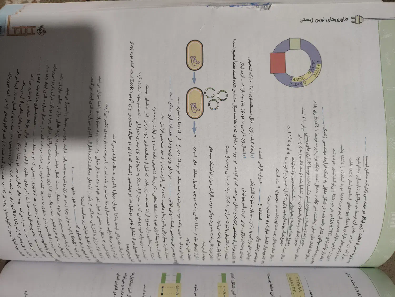 کتاب زیست نردبام دوازدهم|کتاب و مجله آموزشی|پاکدشت, پاکدشت (مامازند)|دیوار