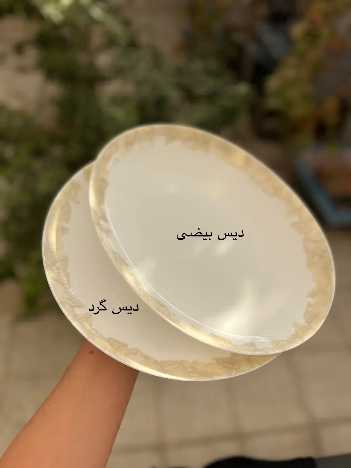 سرویس آرکوپال|ظروف سرو و پذیرایی|میبد, |دیوار