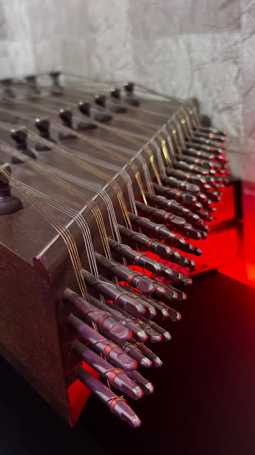 سنتور تک مهر موسوی|سازهای سنتی|تبریز, |دیوار