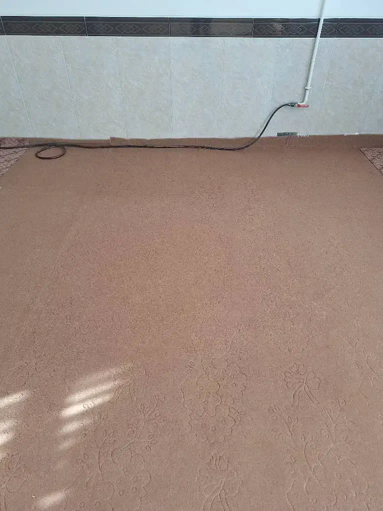 موکت دست دوم|موکت|همدان, |دیوار