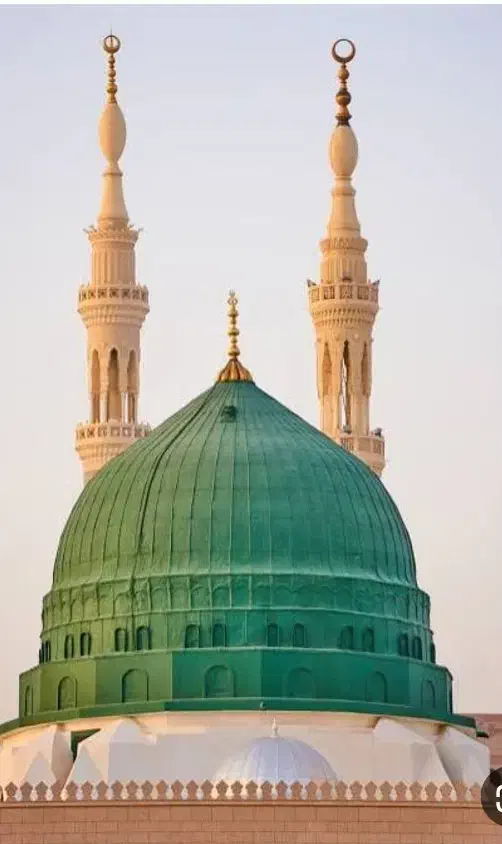 یک عدد فیش عمره|تور و چارتر|سراوان, |دیوار