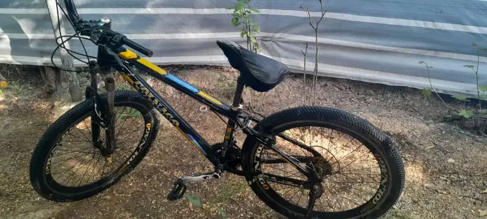 دوچرخه ۲۶|دوچرخه، اسکیت، اسکوتر|بوشهر, |دیوار