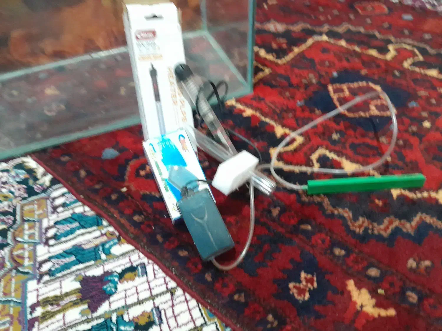 آکواریم|ماهی|بروجرد, |دیوار