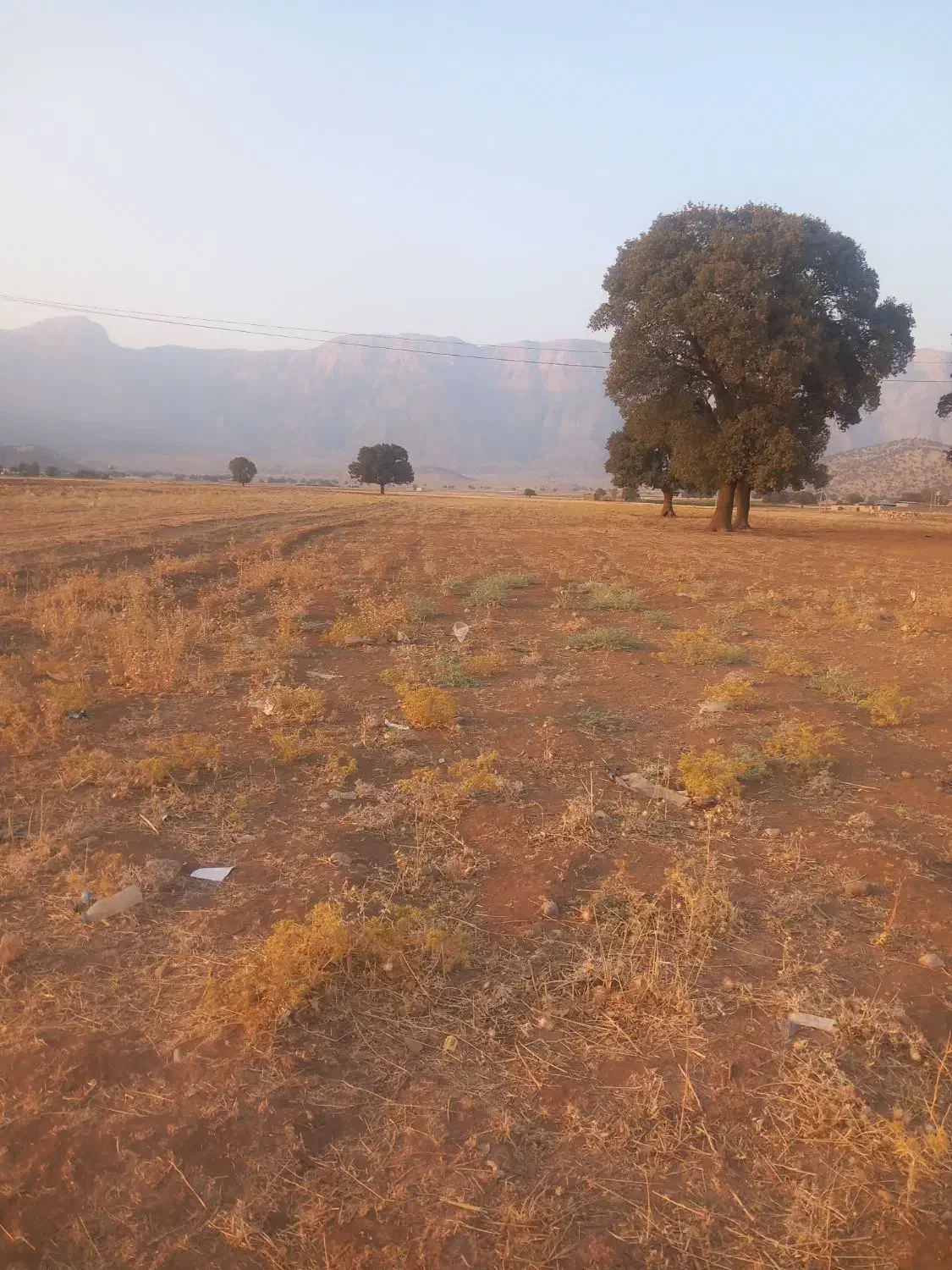 زمین|فروش زمین و ملک کلنگی|چگنی, |دیوار