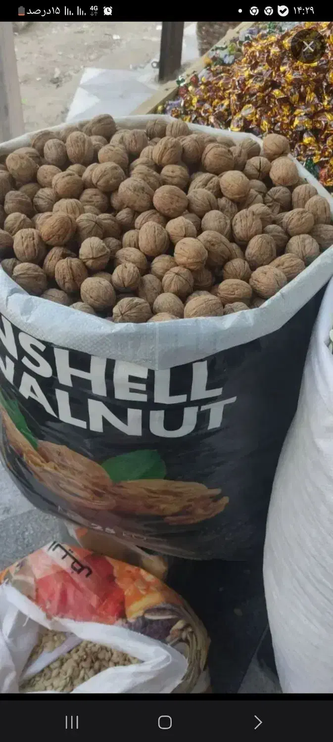 گردو آمریکایی|عمده‌فروشی|کارون, |دیوار