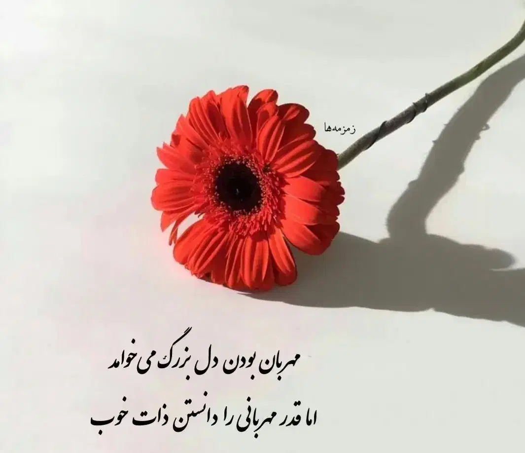 تاکسی دربستی با قیمت مناسب|خدمات حمل و نقل|اندیمشک, |دیوار