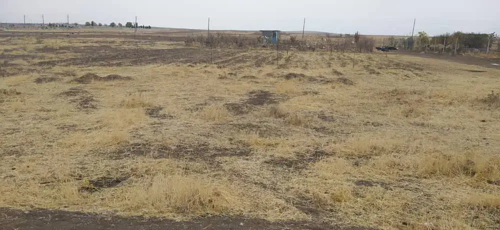 ۱۲۵۰ متر زمین چسب طرح هادی سیاه بید علیا|فروش زمین و ملک کلنگی|کرمانشاه, |دیوار