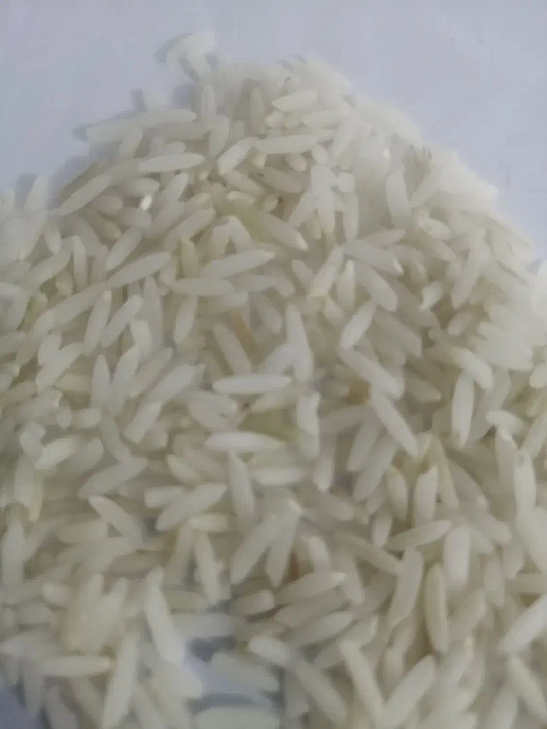 برنج ندا|خوردنی و آشامیدنی|گرگان, |دیوار