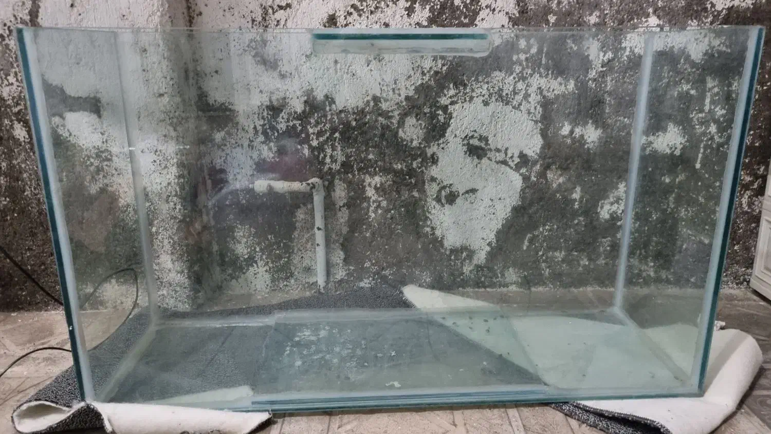 آکواریوم|ماهی|تایباد, |دیوار