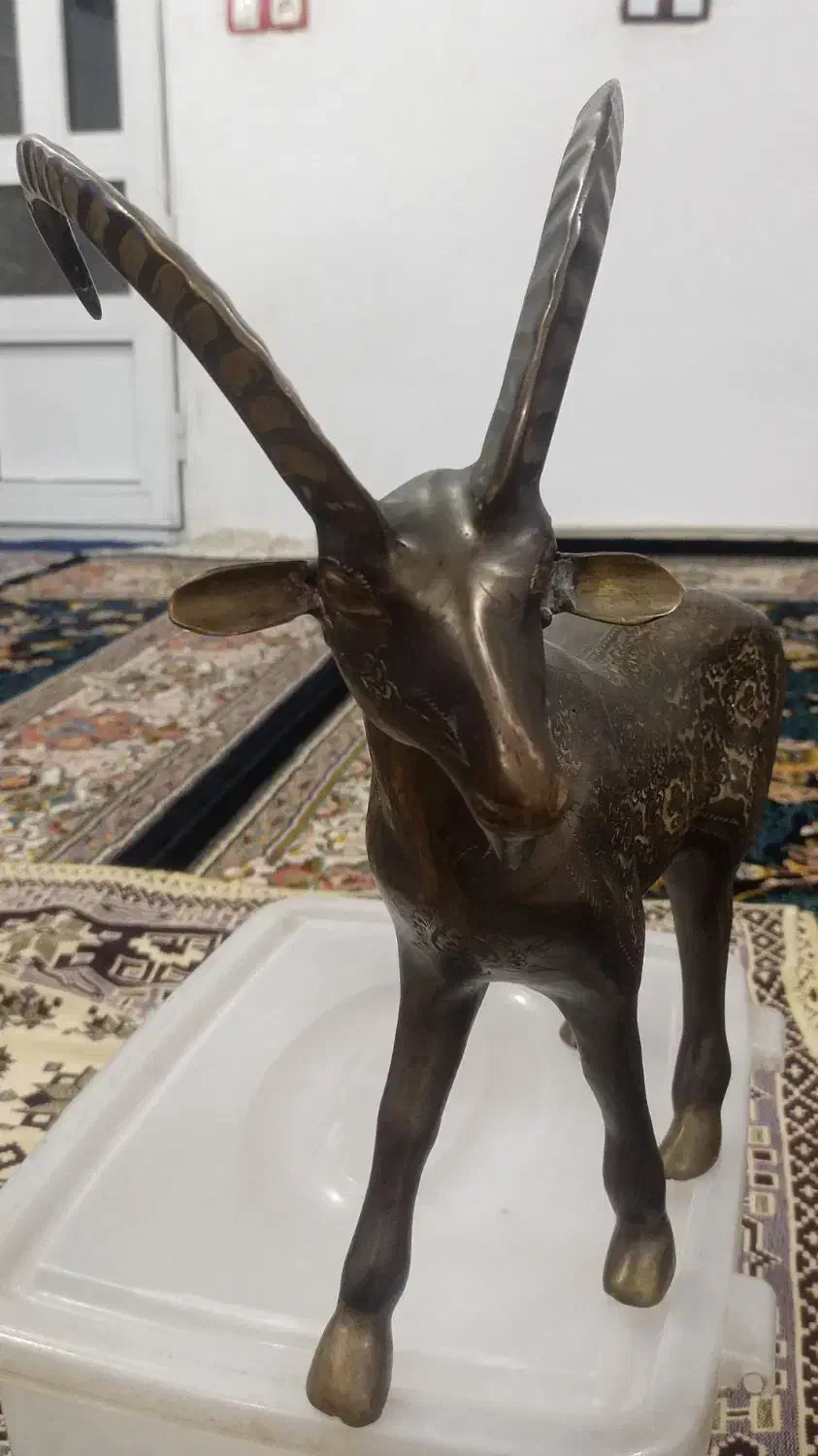 مجسمه بز کوهی تزئینی|مجسمه، تندیس، ماکت|بوکان, |دیوار