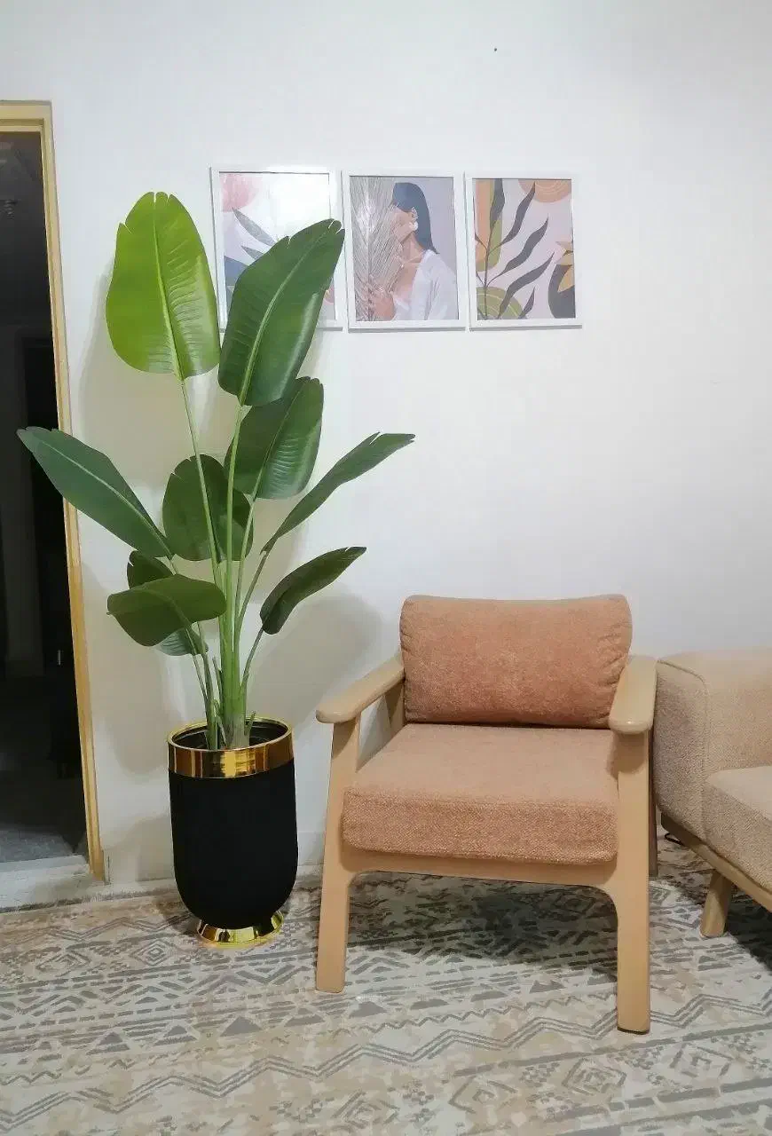 درختچه مصنوعی، آینه، بوفه، رگال، پاف|گل مصنوعی|آبیک, |دیوار