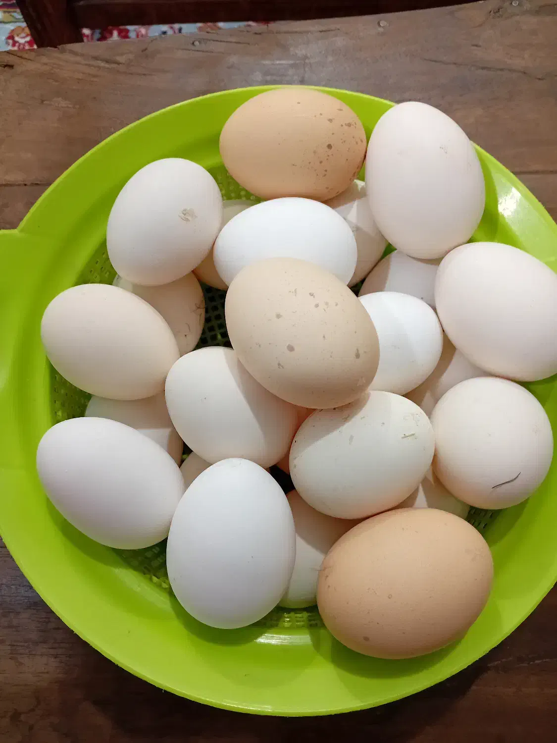 تخم مرغ بومی|خوردنی و آشامیدنی|کاشان, دشت چال|دیوار