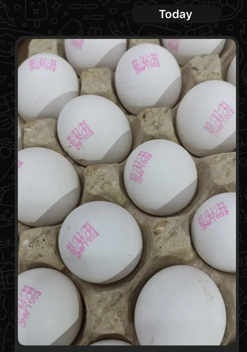 تخم مرغ|خوردنی و آشامیدنی|شیراز, بازار|دیوار