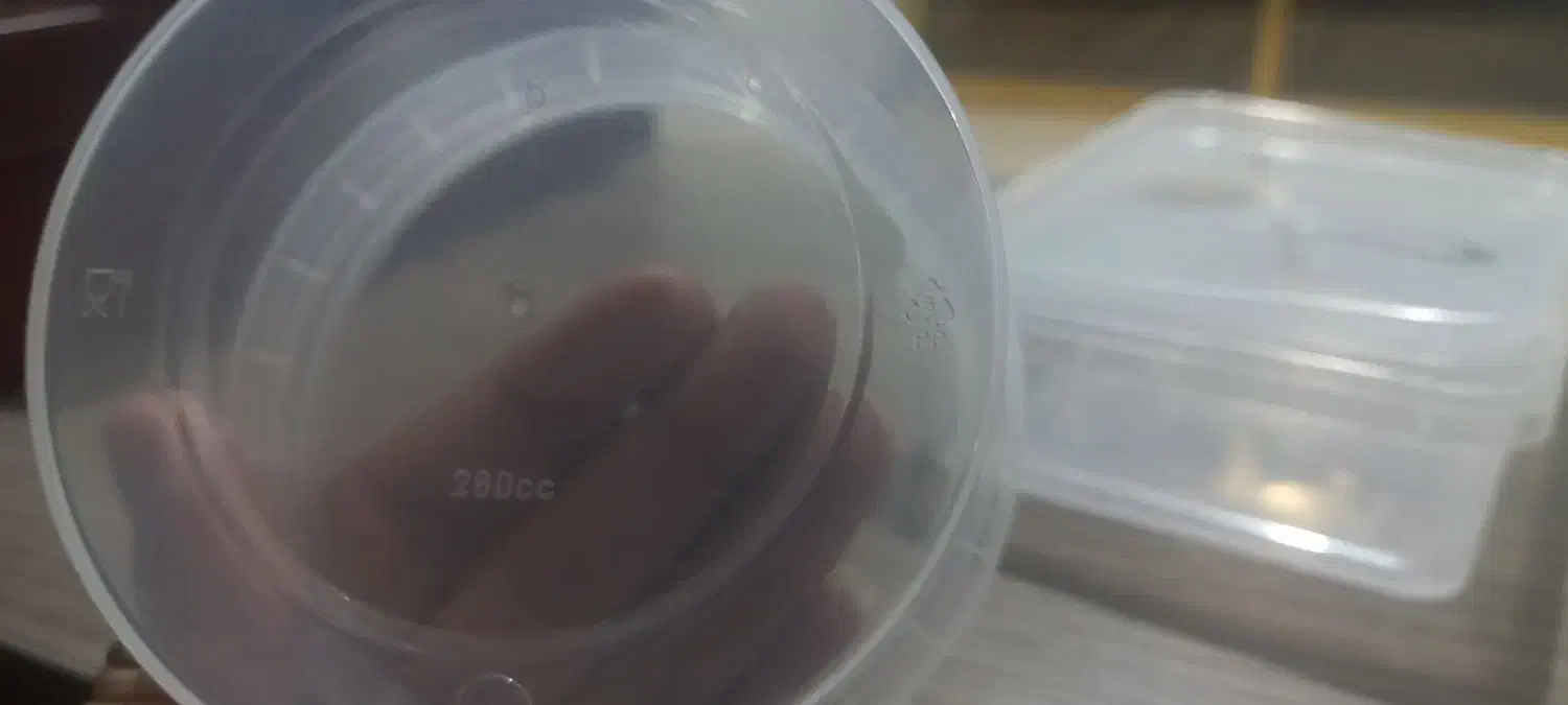 ظرف پلاستیکی درب دار|ظروف نگهدارنده، پلاستیکی، یکبارمصرف|اندیشه, شهرک صدف|دیوار