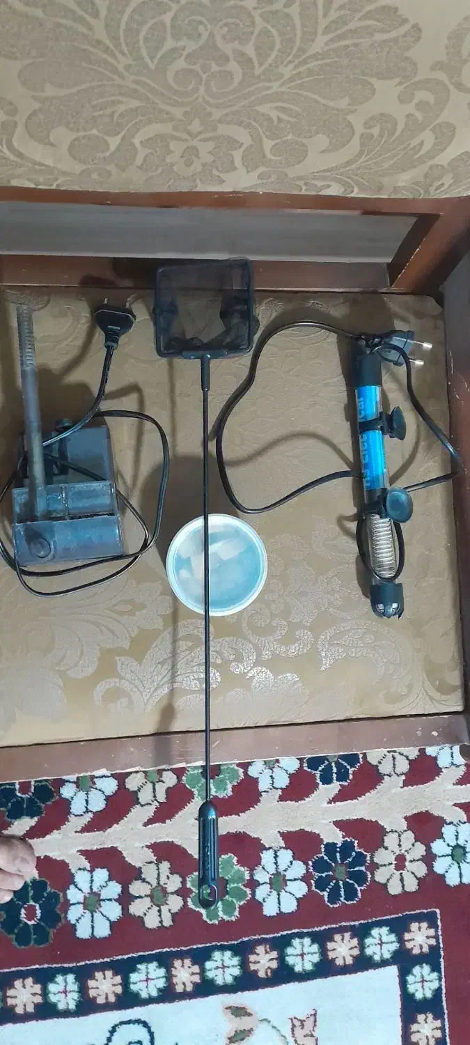 آکواریوم با تمام وسایل|ماهی|اردبیل, |دیوار