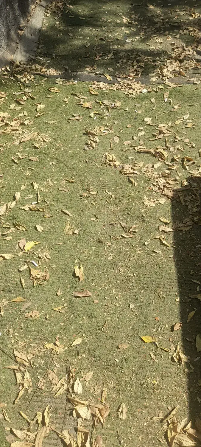 چمن مصنوعی ۲۰۰۰ متر|مصالح و تجهیزات ساختمان|کرج, چمران|دیوار