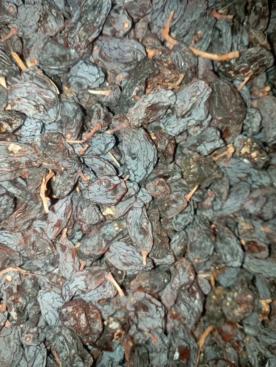 کشمش بش|خوردنی و آشامیدنی|آباده, |دیوار