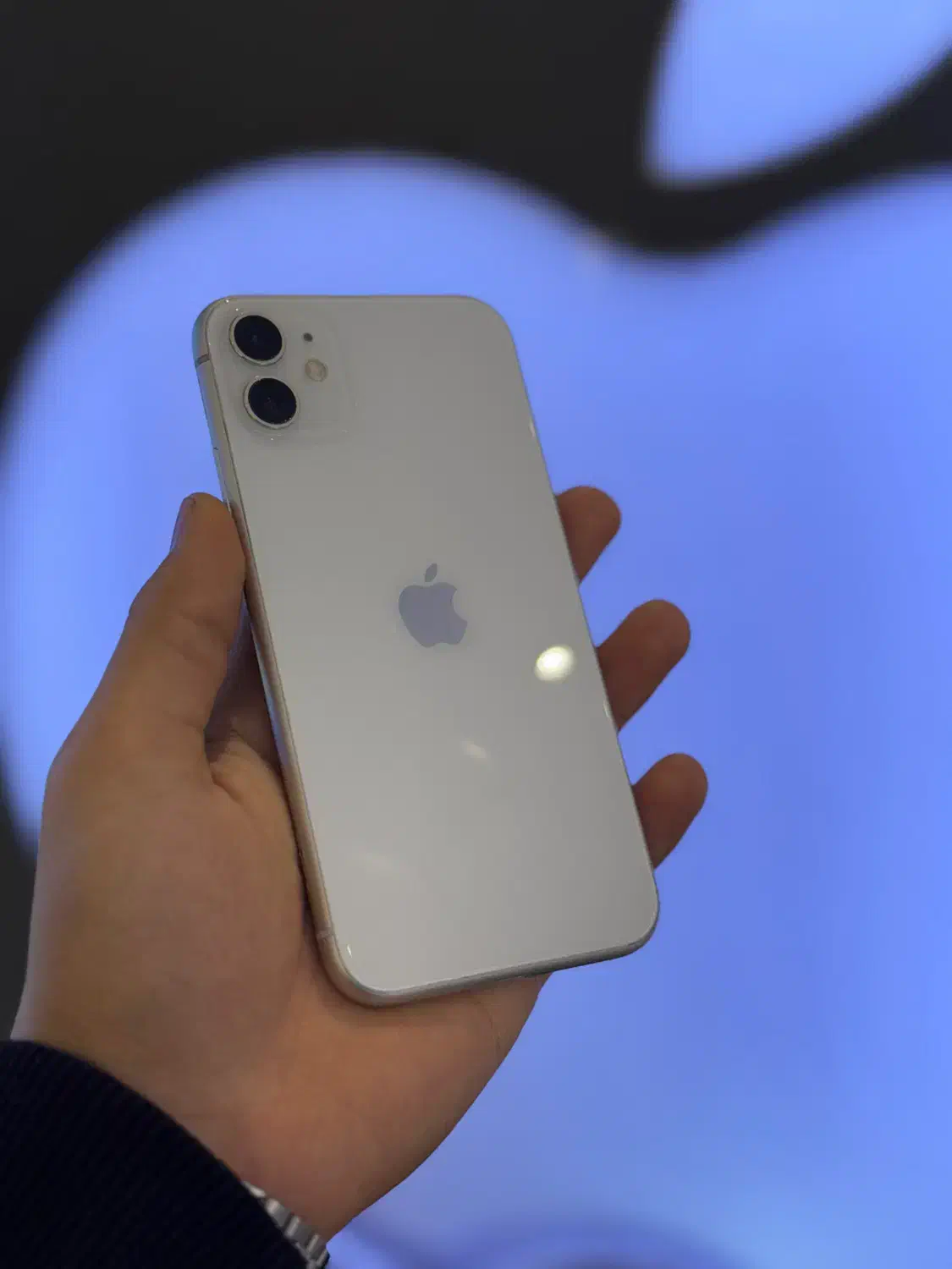 آیفون ۱۱ نرمال۱۲۸|موبایل|تهران, گیشا|دیوار