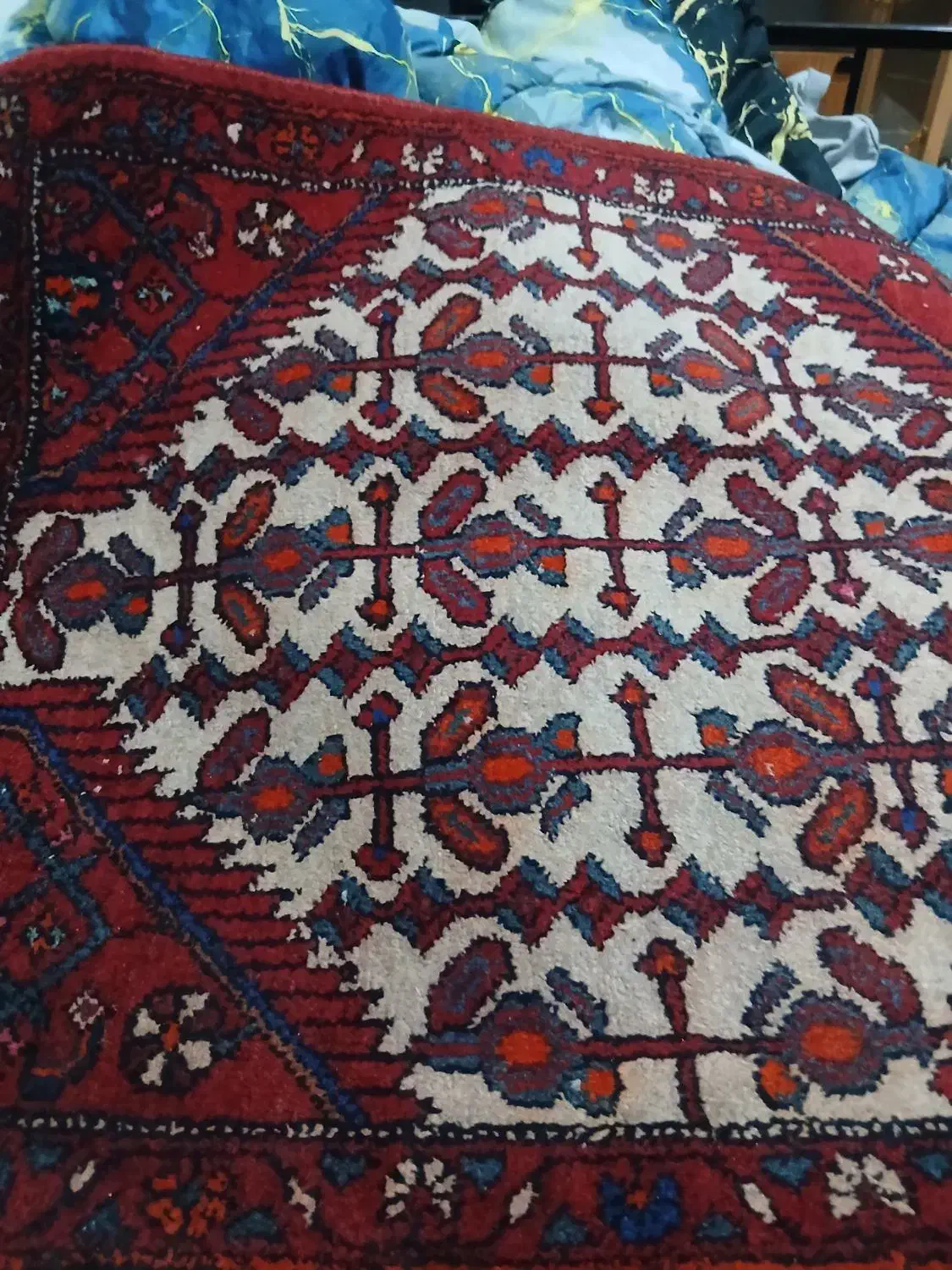 قالیچه دست باف|فرش|شیراز, فرگاز|دیوار