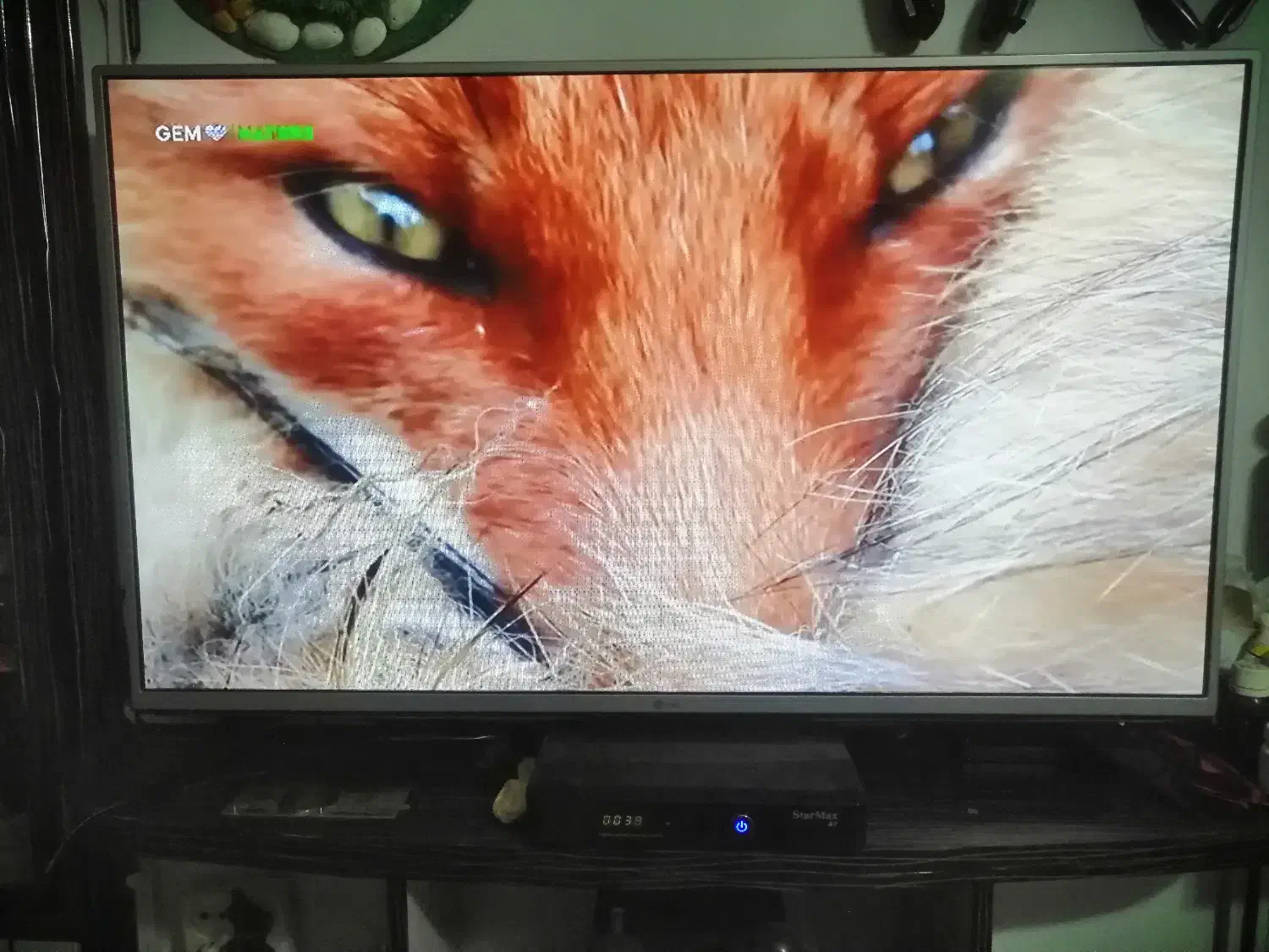 تلویزیون ال جی 43 اینچ|تلویزیون و پروژکتور|سهند, |دیوار