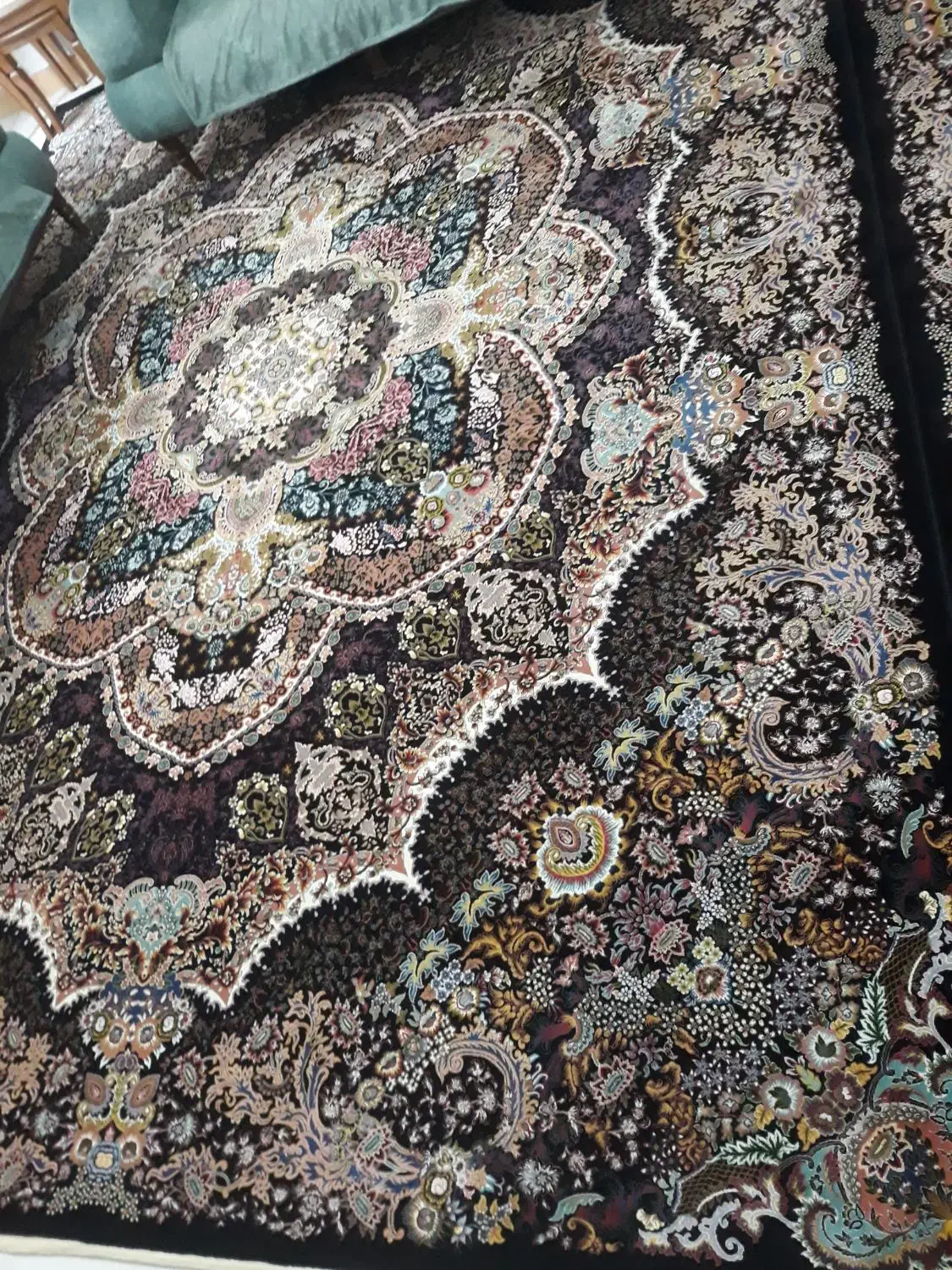 فرش پاتریس ۱۲ متری|فرش|رشت, نامجو|دیوار