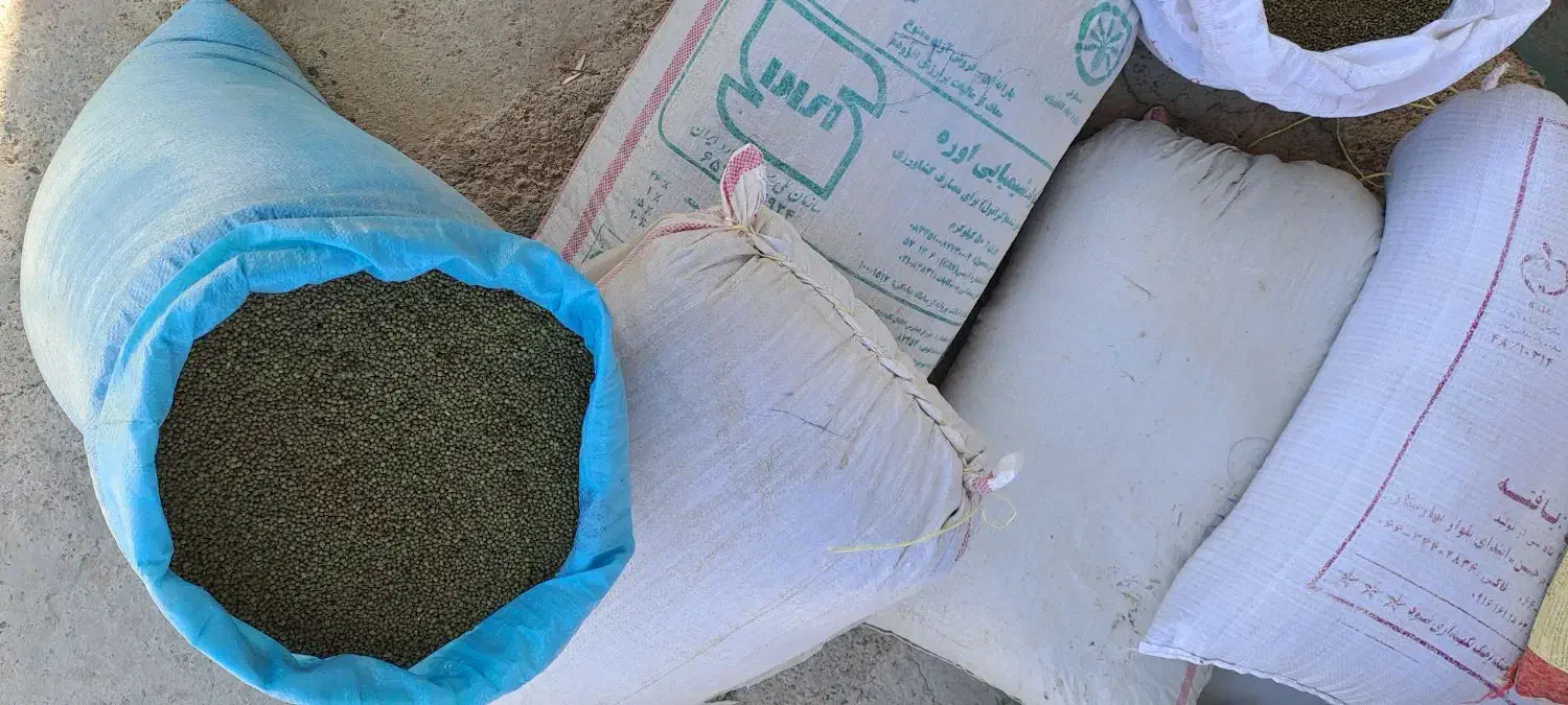 ماش|عمده‌فروشی|شاهیوند, |دیوار