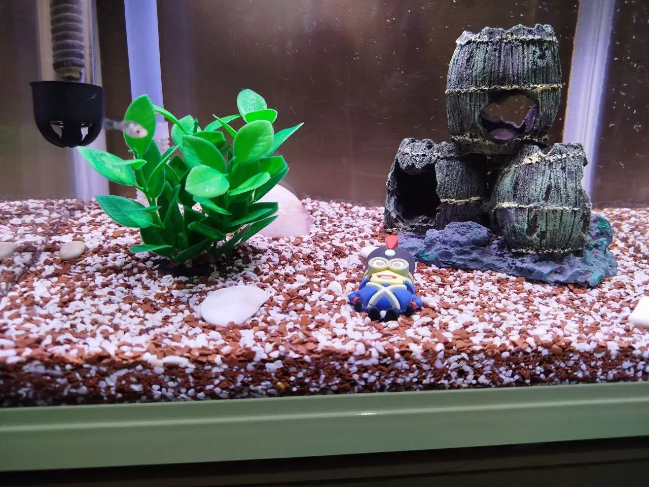 سنگ و شن اکواریوم|ماهی|اراک, |دیوار