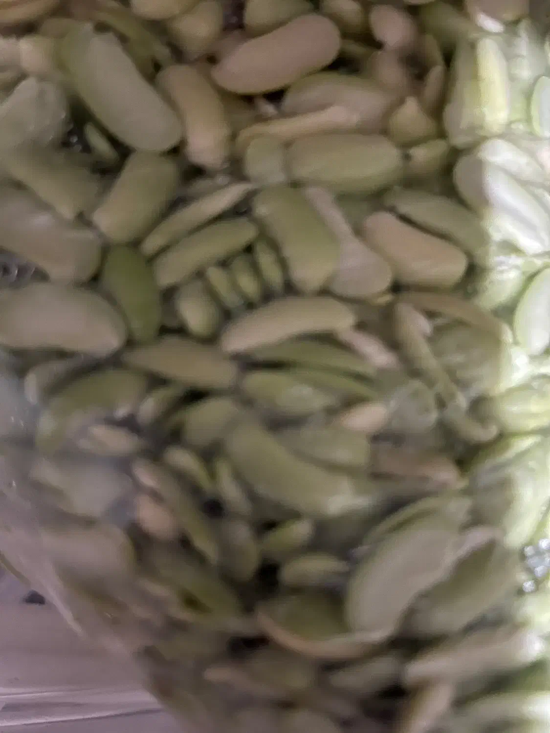 پاچ باقلی|خوردنی و آشامیدنی|رشت, حومه رشت|دیوار