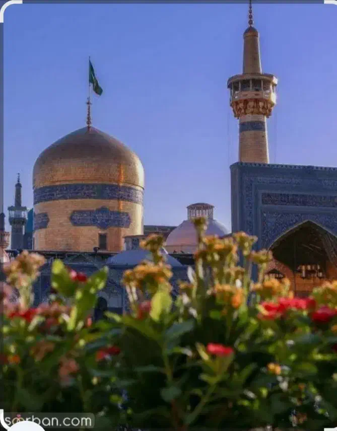 تور مشهد ویژه آذر ماه|تور و چارتر|قم, فرهنگیان و شهربانی|دیوار