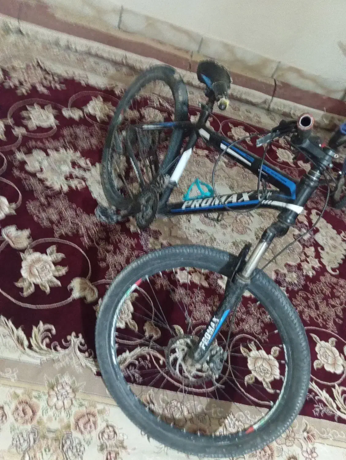 دوچرخه 26|دوچرخه، اسکیت، اسکوتر|پاتاوه, |دیوار