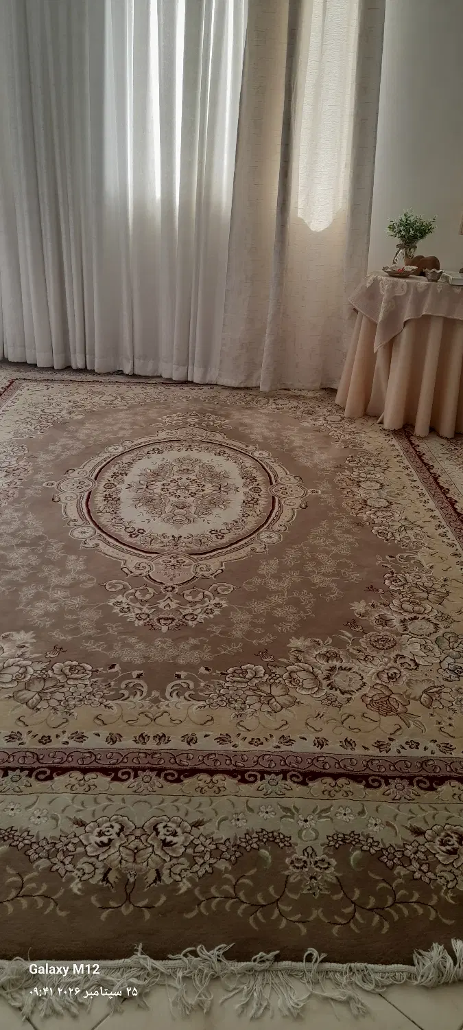 فرش ۱۲|فرش|تهران, مینای شمالی (مخبر)|دیوار