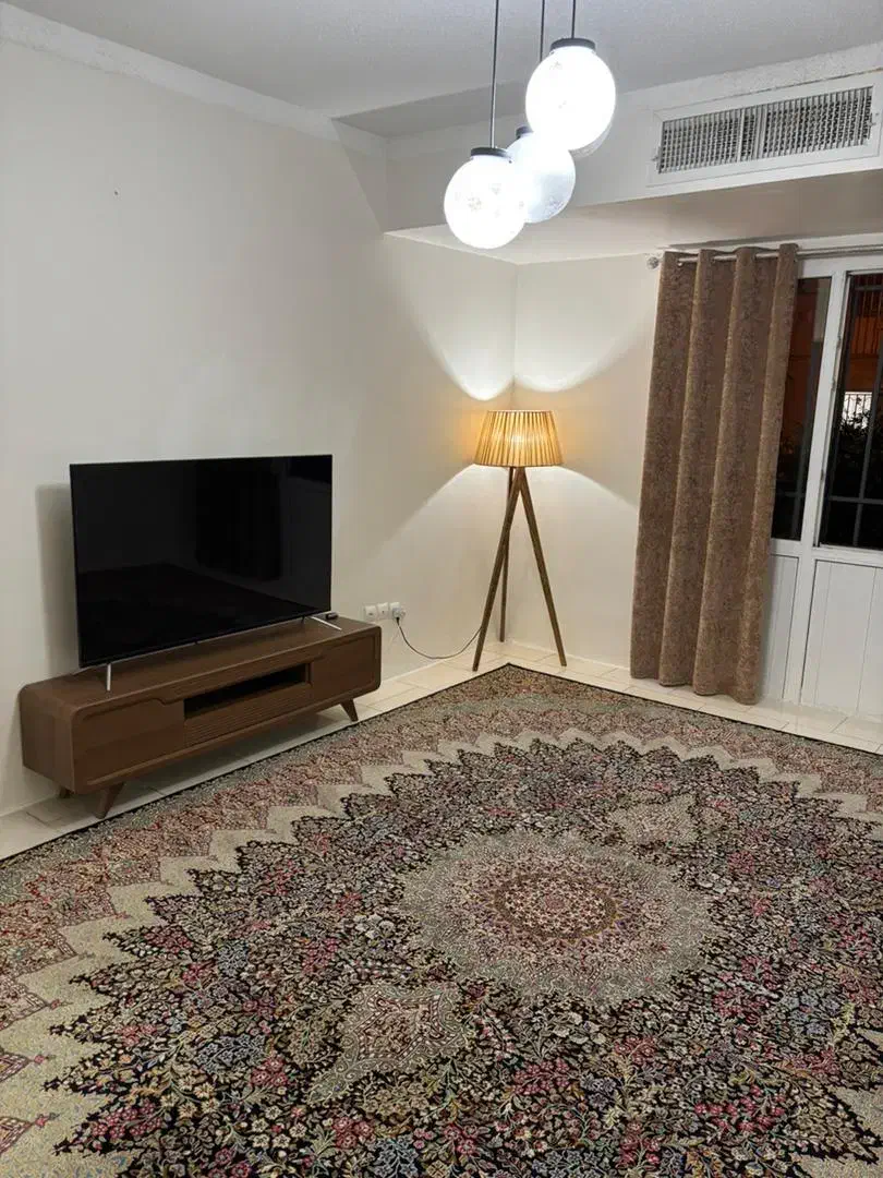 تلویزیون ۵۵اینچ ناسیونال نو|تلویزیون و پروژکتور|پرند, فاز ۶|دیوار