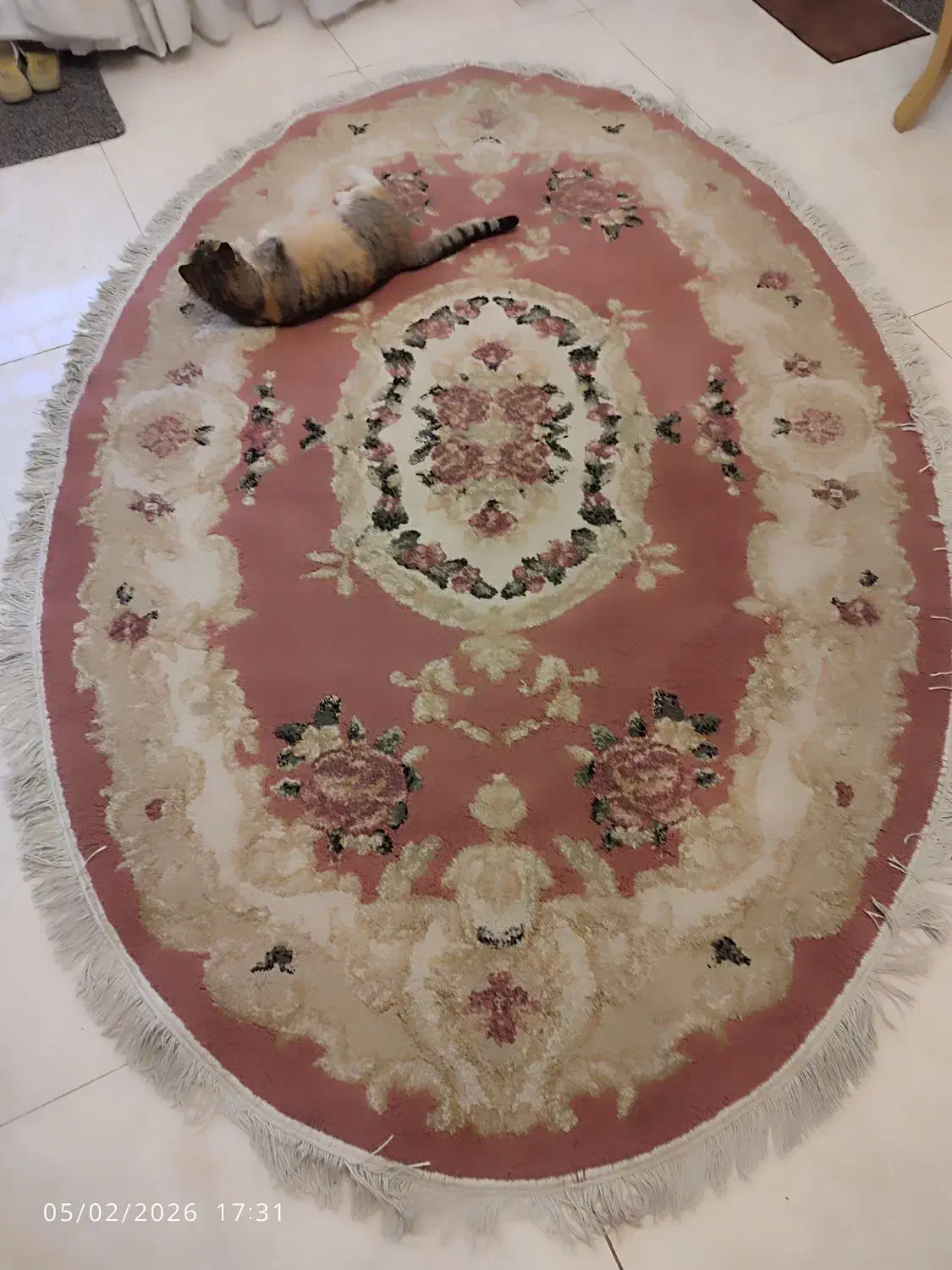 فرش بیضی|فرش|چهارباغ, |دیوار