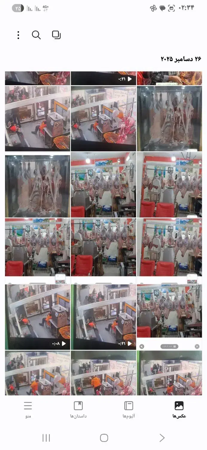 بره گوساله کشتارروز|حیوانات مزرعه|بجنورد, |دیوار