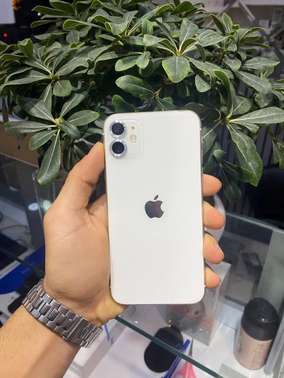 آیفون ۱۱ نرمال سفید پک اصلی باز نشده پلمپ|موبایل|رشت, لاکانی|دیوار