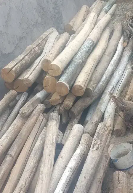 تیر سقفی چوب سقفی|خدمات باغبانی و درختکاری|پیرانشهر, |دیوار